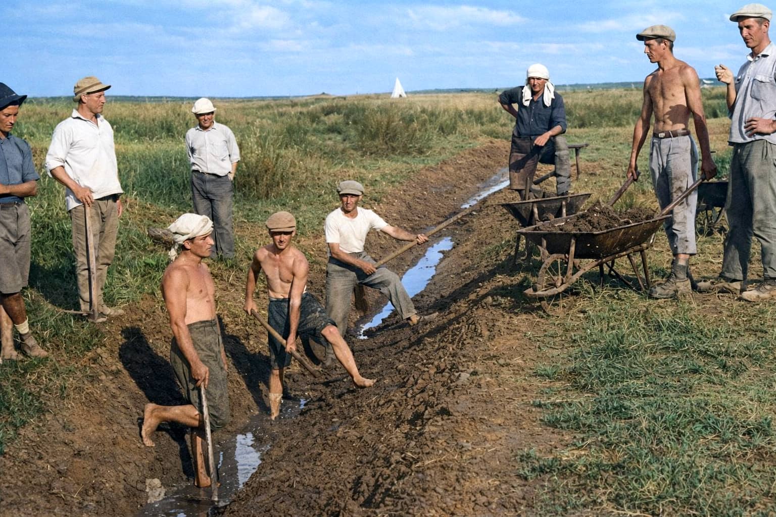 מייבשים ביצות בעתלית