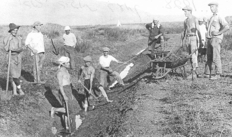 ייבוש ביצות בעתלית של פעם