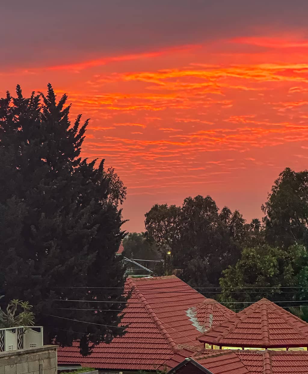 שקיעה על גגות בתים בעתלית. צילום: עמית מורנו