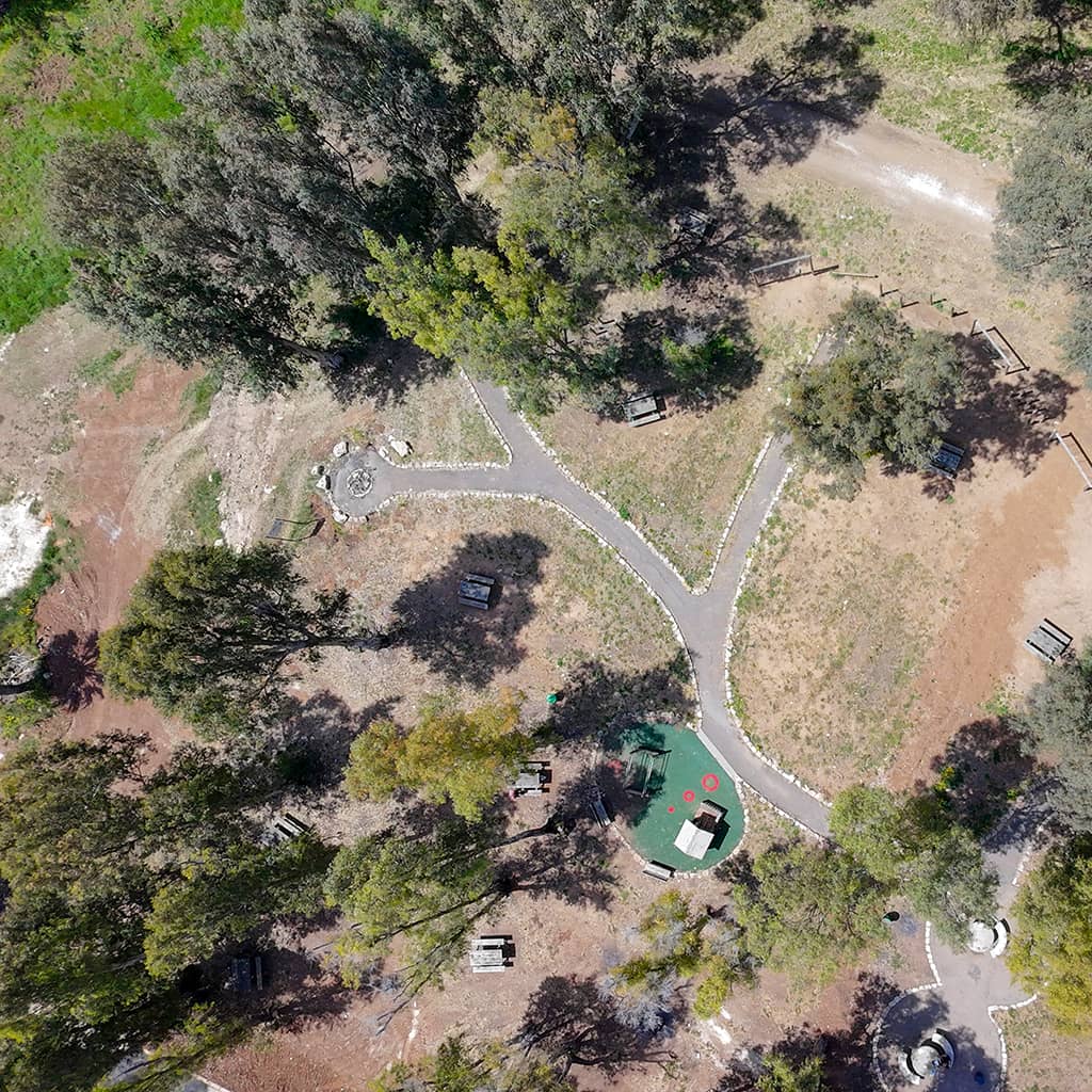 חורשת לימור ממבט ציפור חורשת לימור ממבט ציפור