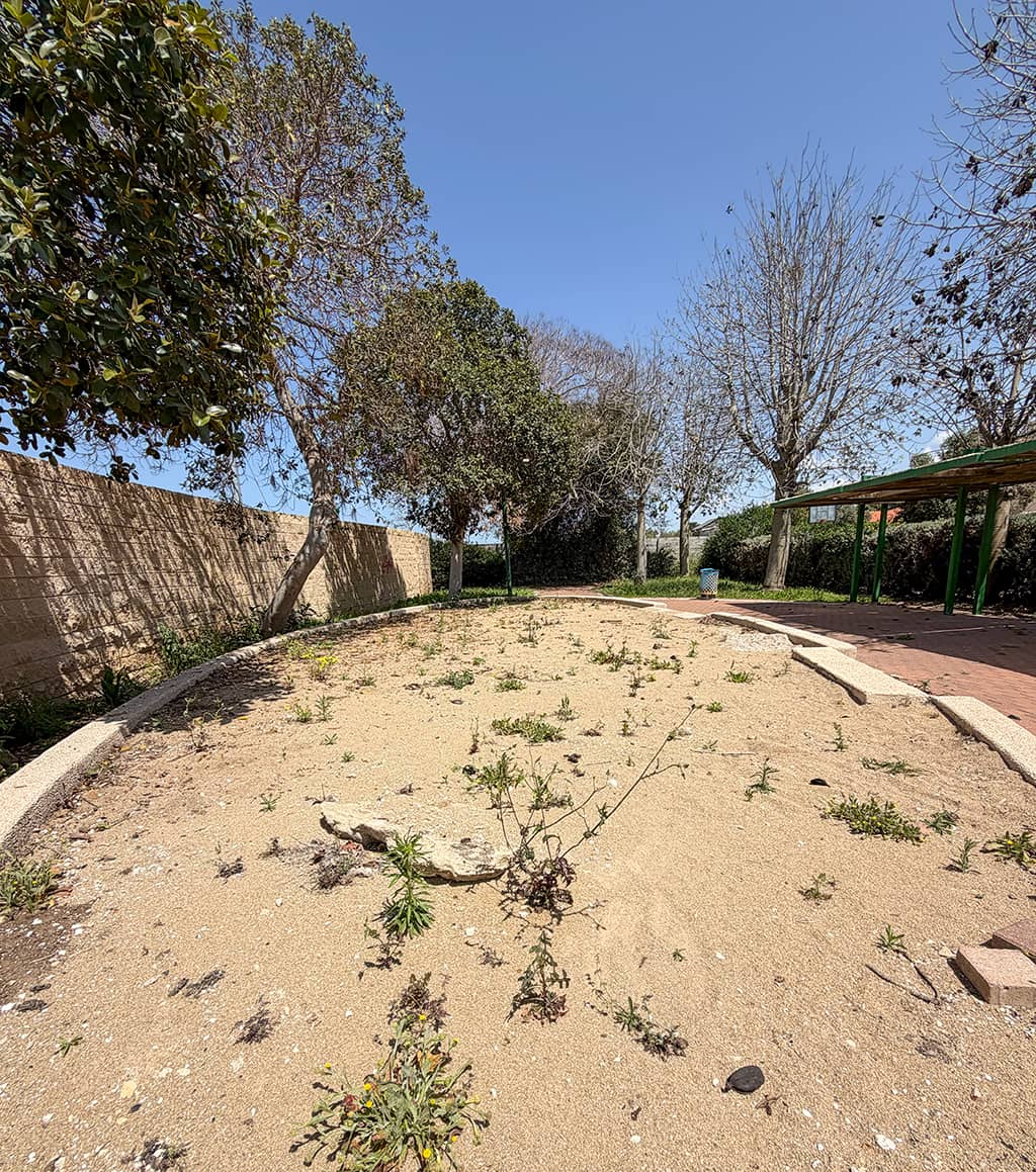 גינה מוזנחת בחופית גינה מוזנחת בחופית