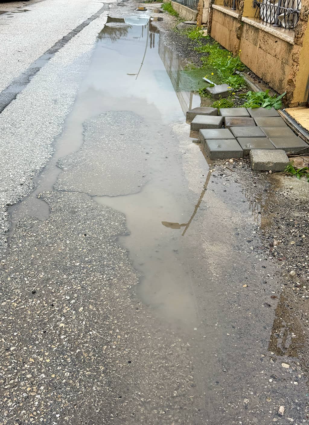 שלולית ברחוב הבנים בעתלית שלולית ברחוב הבנים בעתלית