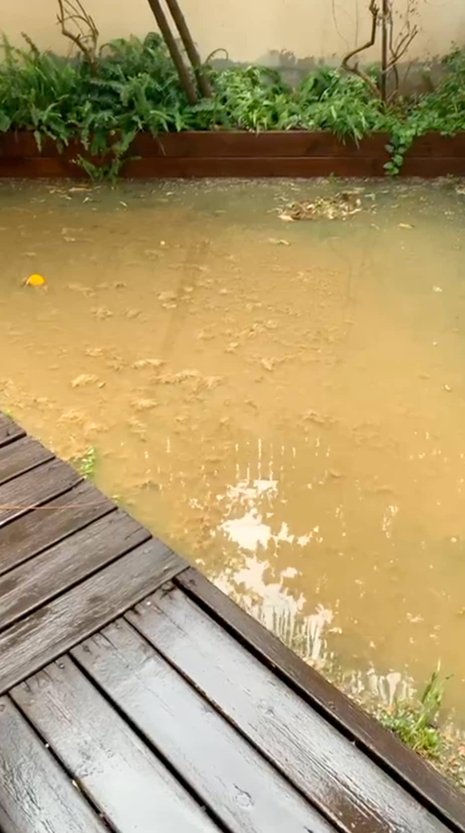 מי ביוב בחצר בית ברחוב הבנים בעתלית מי ביוב בחצר בית ברחוב הבנים בעתלית