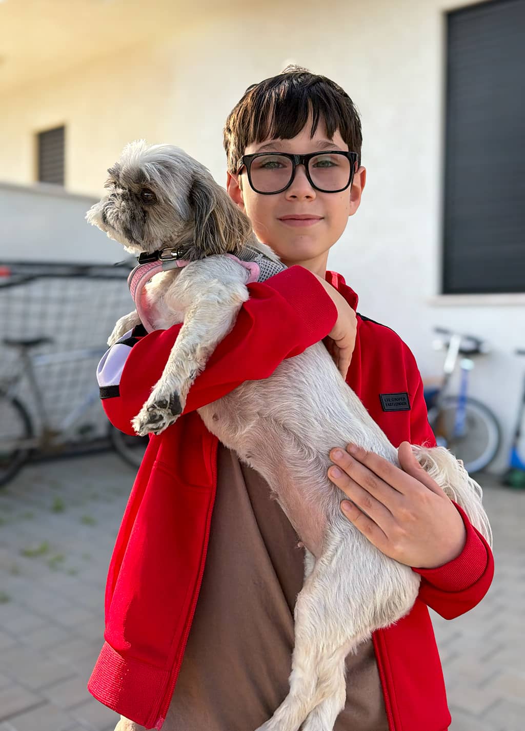 בן פינצי מחזיק כלבה